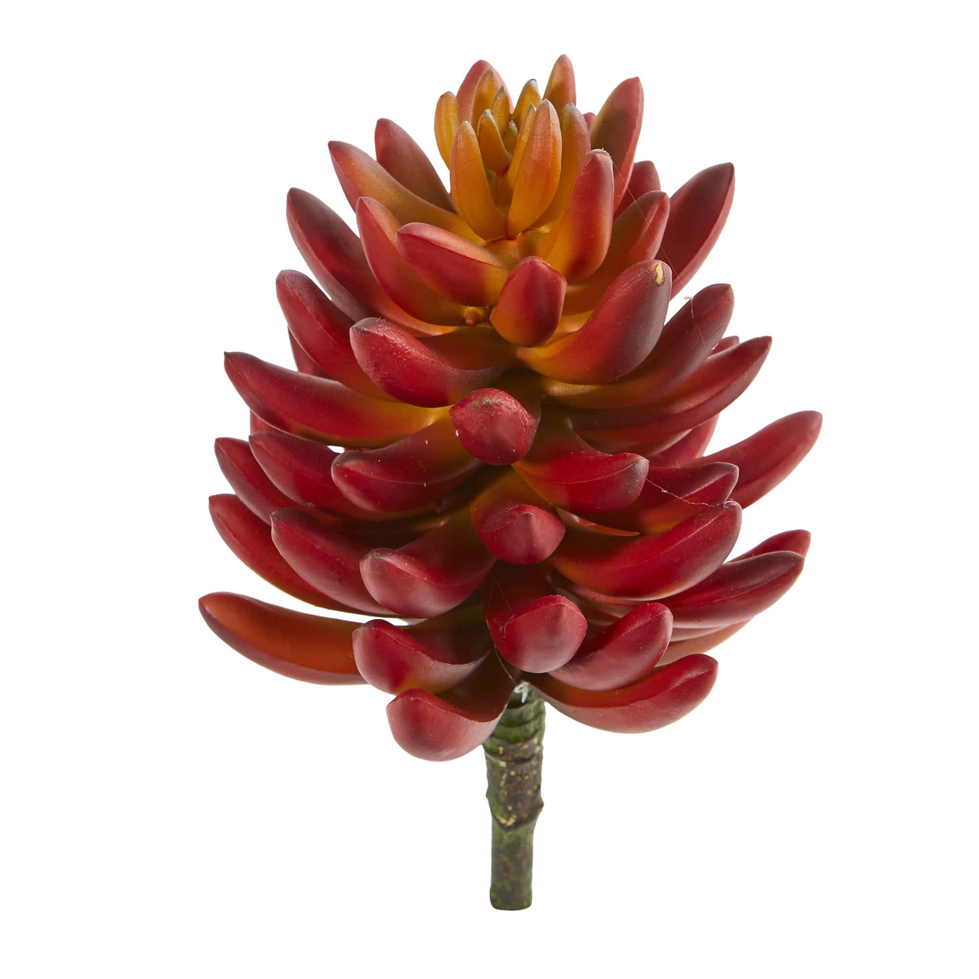 7.5'' Succulent Pick, 6ct.